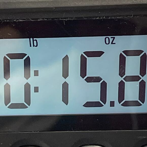 Abercrombie & Fitch Women's Blouse Tie Front Size X-small Caramel - Picture 10 of 11